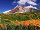 十勝岳の紅葉です