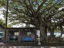 トトロのバス停といわれる場所