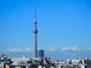 <周辺>東京スカイツリー(電車約25分◇地下鉄乗換無しでアクセス可)