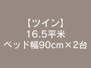 ツイン