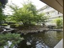 中庭です。鯉のエサやりが行えます。