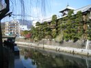東海館の前には川が流れており、落ち着いた雰囲気が感じられます。