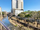 【川側】和室12畳景観一例