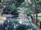 【観光】海の中道海浜公園「写真提供:福岡市」