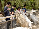【観光】海の中道海浜公園動物の森「写真提供:福岡市」