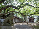 【観光】志賀神社「写真提供:福岡県観光連盟」