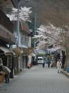 袋田の滝トンネル入口付近(春)