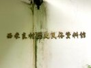 �y���ėǑ����j���������فz�Ĕ��_�k�̗��j��l�X�̕�炵��`���閯��������W���B