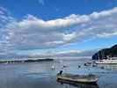 戸田漁港は深海魚やタカアシガニのメッカ。