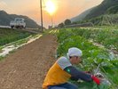 AWA食材:農業体験もやってます