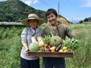 AWA食材:どの野菜たちも個性に溢れ、同じ畑の野菜でも一つ一つ違う顔・形をしています。