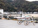 レンタサイクル(無料)