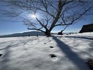 冬の竹田城登山がガイドさん付きで2月28日まで可能になりました。2025年初登場です。市内宿泊者限定★
