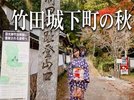 秋