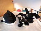 水族館カルチャールーム6名