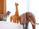 動物園カルチャールーム4名