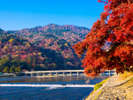 京都(秋)の紅葉