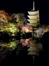 東寺 秋のライトアップ