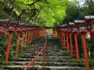 貴船神社(初夏)
