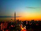 東京スカイツリー(屋上より)
