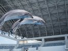 神戸須磨シーワールド_ドルフィンスタジアム