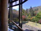 *秋のお食事処(紅葉)/お食事をいただきながら紅葉狩りはいかがですか?