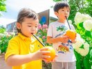 【ルースとムースの森カフェ】オレンジ生絞りは人気メニュー