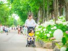 【散策】遊園地に行く途中の写真スポット