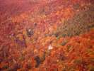 <蔵王の紅葉> 一面真っ赤に染まり 色鮮やかな針葉樹などの紅葉が広がります