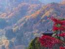秋の山寺。奇岩怪石の山寺全山が紅葉に包まれ絶好の景観となります。
