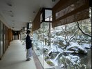 雪化粧を施した日本庭園。四季折々の美しさが、旅のひとときを優しく彩ります。