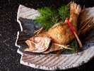 春の