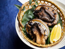 新鮮な大ぶり『活鮑』