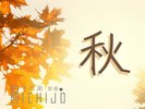 秋