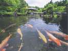 小泉潟公園 水心苑〈秋田市〉【提供@秋田県観光連盟】