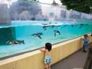 大森山動物園〈秋田市〉【提供@秋田県観光連盟】