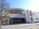 秋田市民市場〈秋田市〉【提供@秋田県観光連盟】