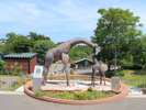 大森山動物園〈秋田市〉【提供@秋田県観光連盟】