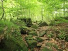 白神山地〈藤里町他〉【提供@秋田県観光連盟】