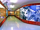 秋田犬会館〈大館市〉【提供@秋田県観光連盟】