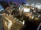 福井県立恐竜博物館