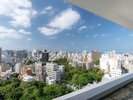 �y13F ���C�u�����[���E���W�e���X�z�ߔe�̊X������]�ł��܂��B