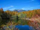 【秋の風景】美鈴池から八ヶ岳をバックにした美しい秋のしらべ。