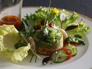 【ル・プラトー】ディナー(イメージ)〜トラウトマリネとミント風味のキヌア・クスクスの三重奏〜