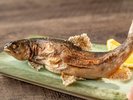 【花暦】春の和食膳ディナー〜岩魚塩焼き〜
