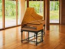【八ヶ岳高原音楽堂】カラマツチェンバロ/ピアノに似た鍵盤でギターや琴に近い音色を奏でます