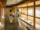�y�����嗁��z�a�̎�ӂ��L���œ��オ��U��