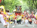 【仙台・青葉まつり】提供:公益財団法人仙台観光国際協会