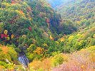 ���J���J