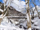 【サウナプラン】雪がある日には、水代わりに雪山に飛び込んでみるのも楽しいですよ!